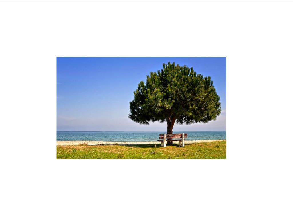 Hotel Lefkes Paralia Skotinis Exterior photo